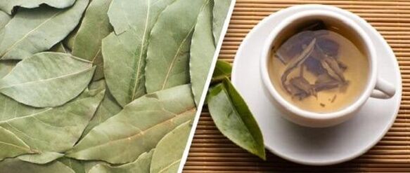 Tratamento da artrose con Laurel Leaf